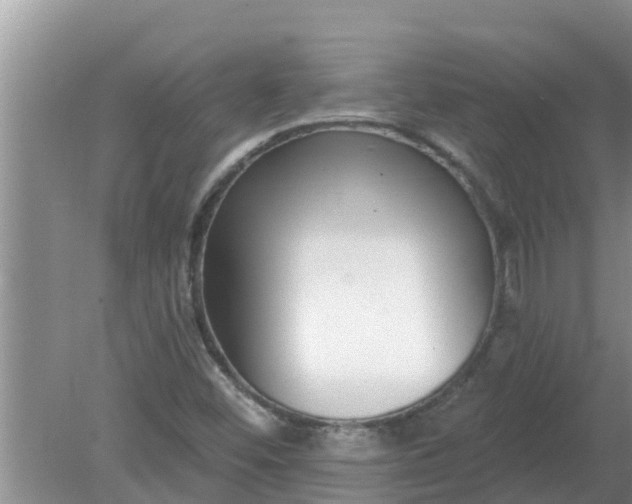 X0000080151452200612221937