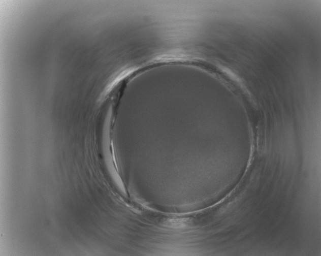 X0000080151453200612221937