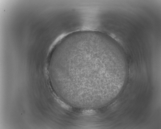 X0000080151454200612221936