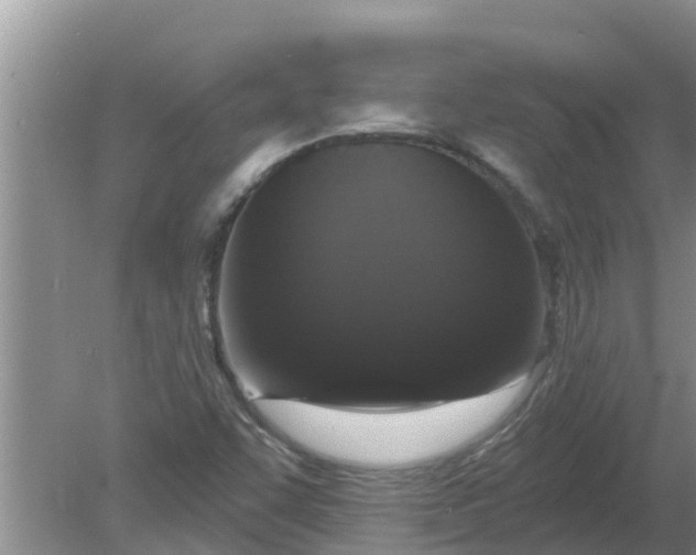 X0000080151455200612221936