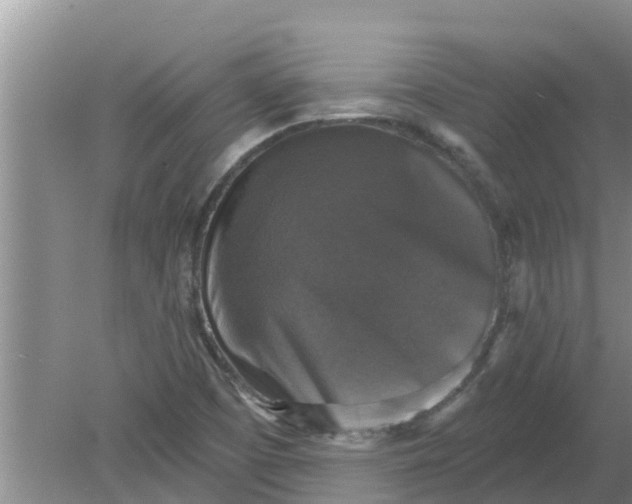 X0000080151457200612221936