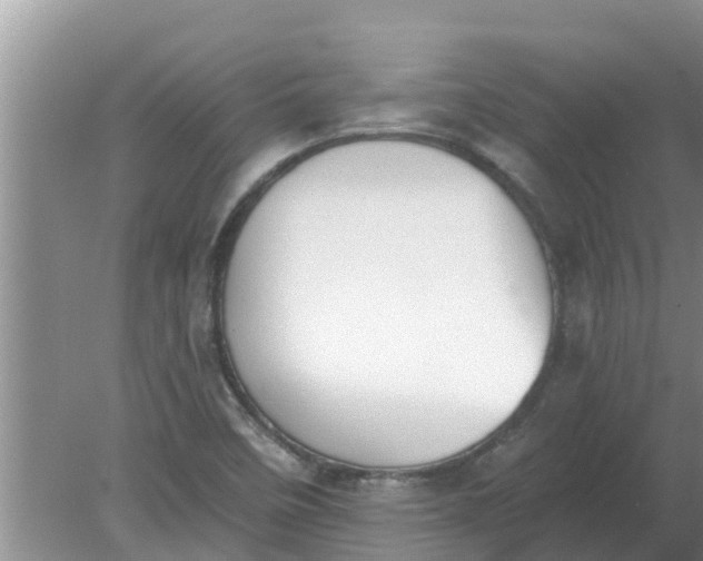 X0000080151458200612221936