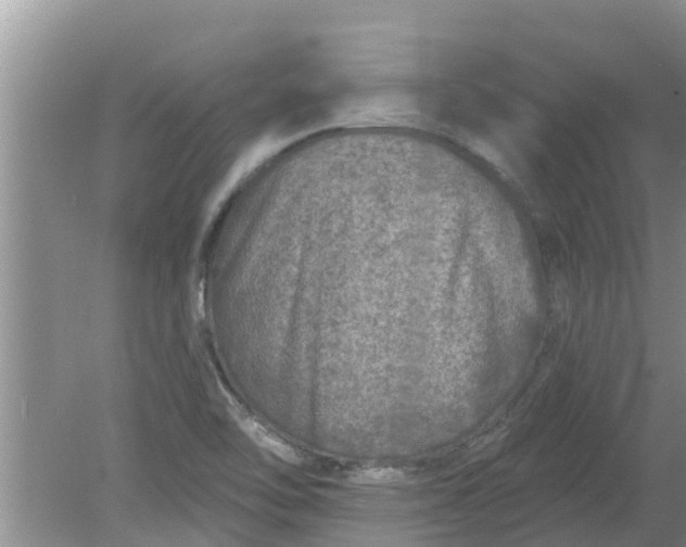 X0000080151462200612221936