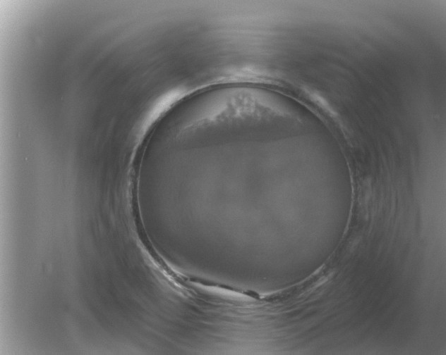 X0000080151463200612221936