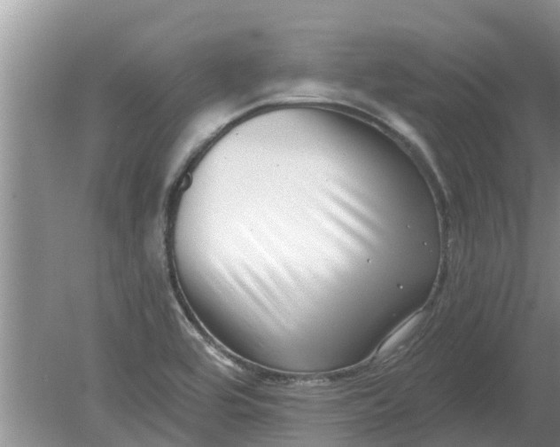 X0000080151464200612221936