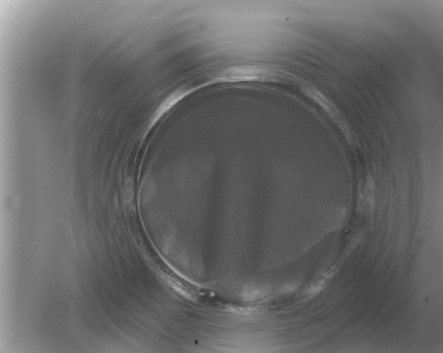 X0000080151465200612221936