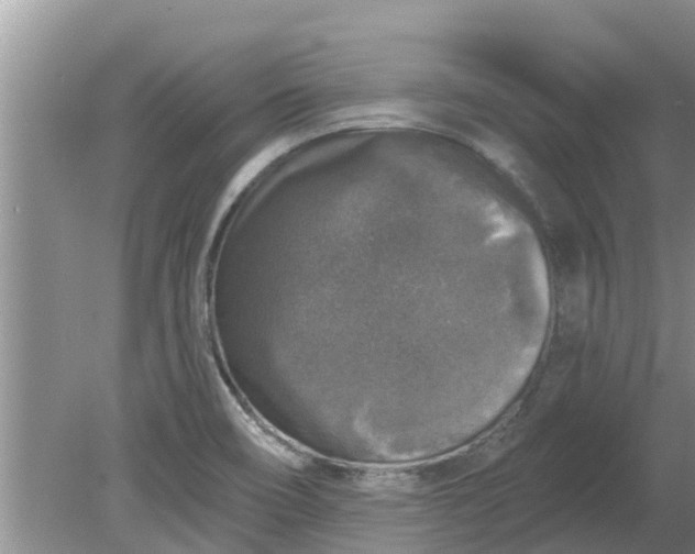 X0000080151466200612221936