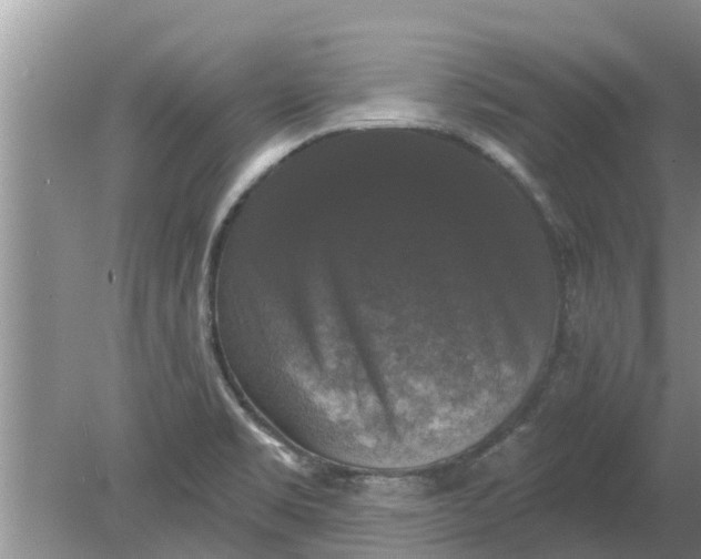 X0000080151469200612221936