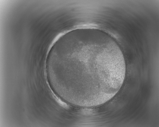 X0000080151470200612221936