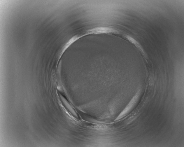 X0000080151473200612221936