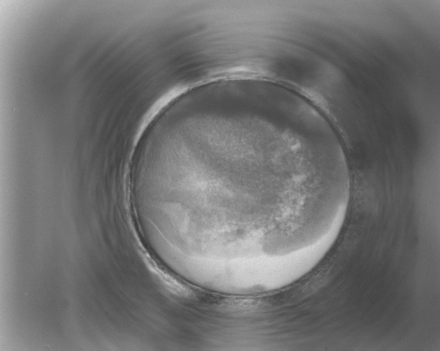 X0000080151474200612221936