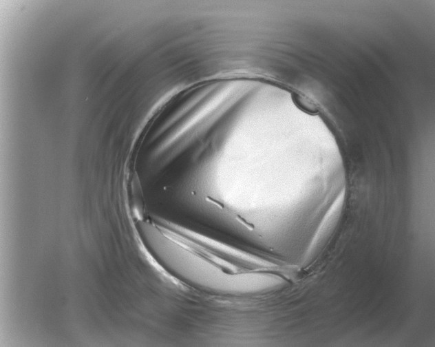 X0000080151476200612221936