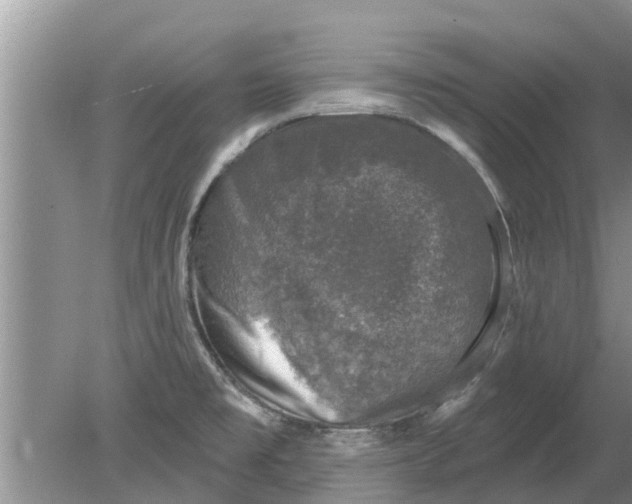 X0000080151477200612221936