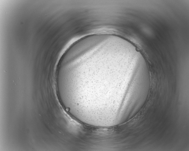 X0000080151478200612221936