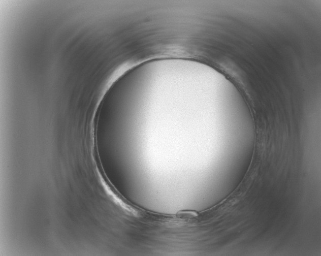 X0000080151479200612221936