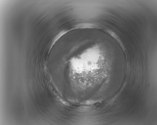 X0000080151481200612221936