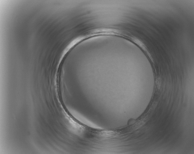 X0000080151482200612221936