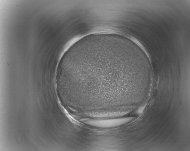 X0000080151485200612221936