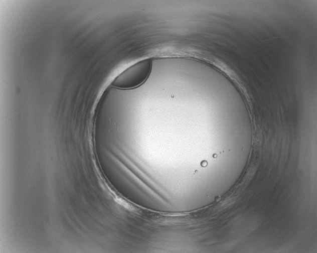 X0000080151486200612221936