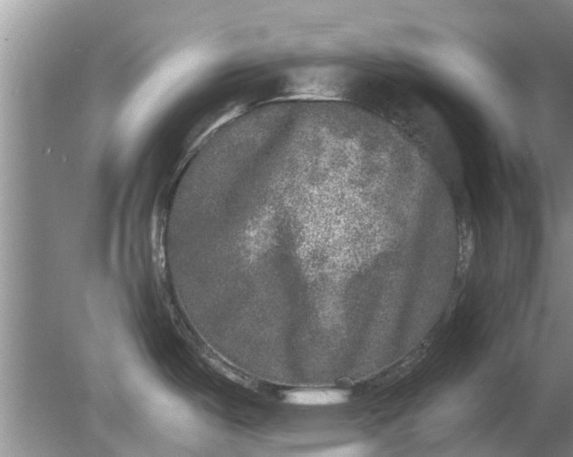 X0000080151487200612221936