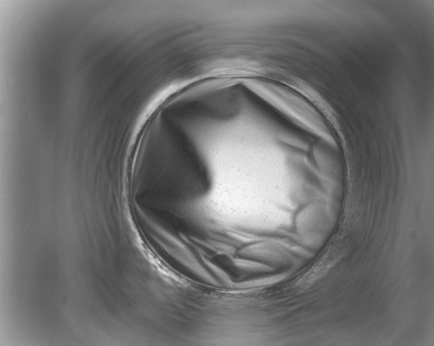 X0000080151488200612221936