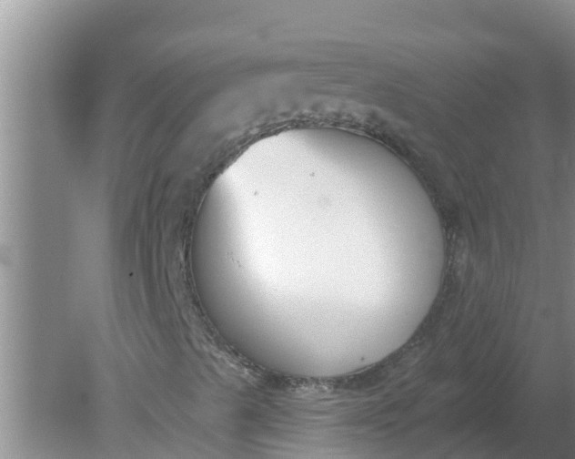 X0000080151489200612221935