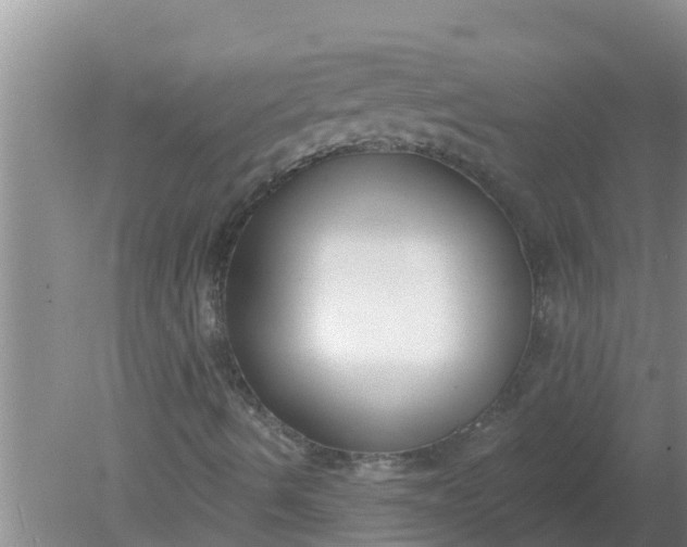 X0000080151490200612221935