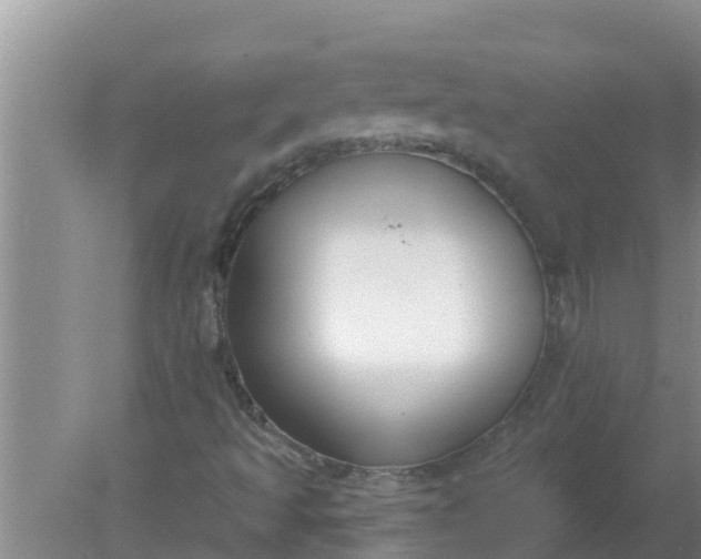 X0000080151493200612221935