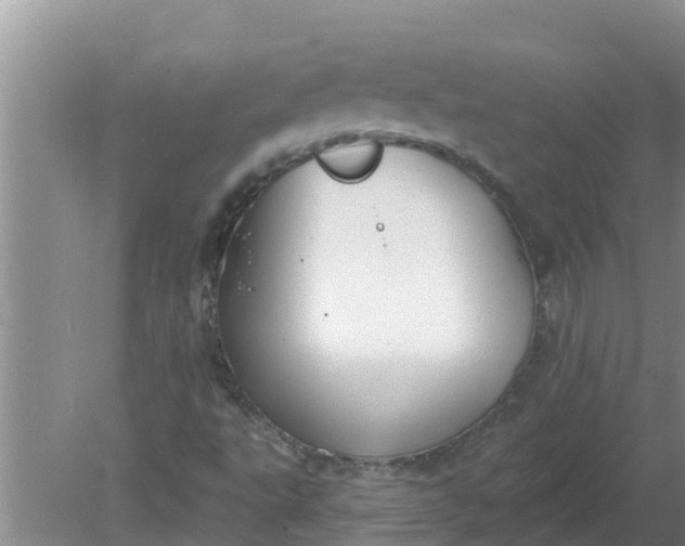 X0000080151495200612221935