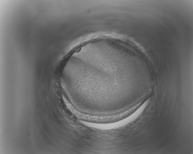 X0000080151496200612221935