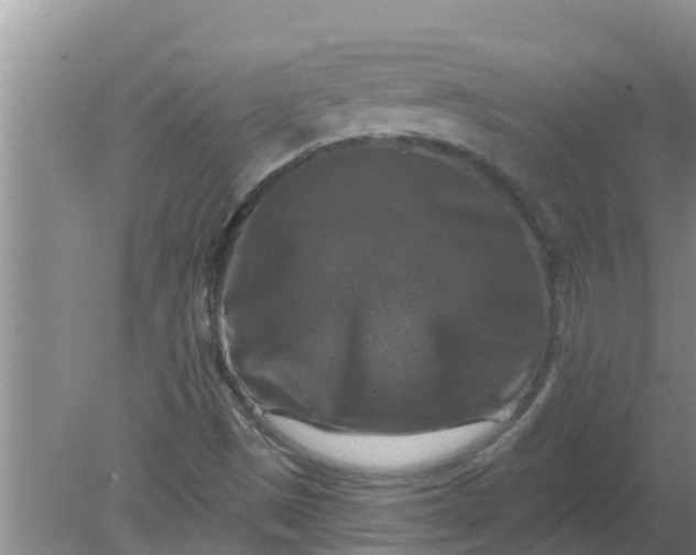 X0000080151497200612221935