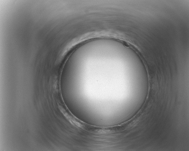 X0000080151499200612221935