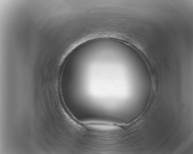 X0000080151500200612221935