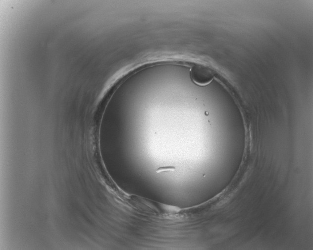 X0000080151501200612221935