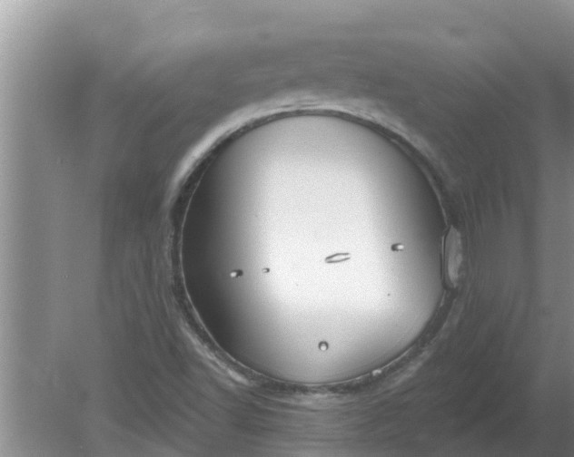 X0000080151502200612221935