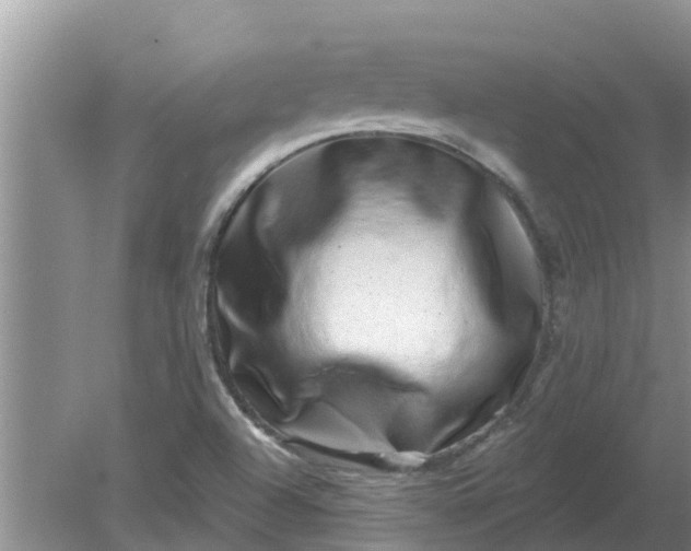 X0000080151504200612221935