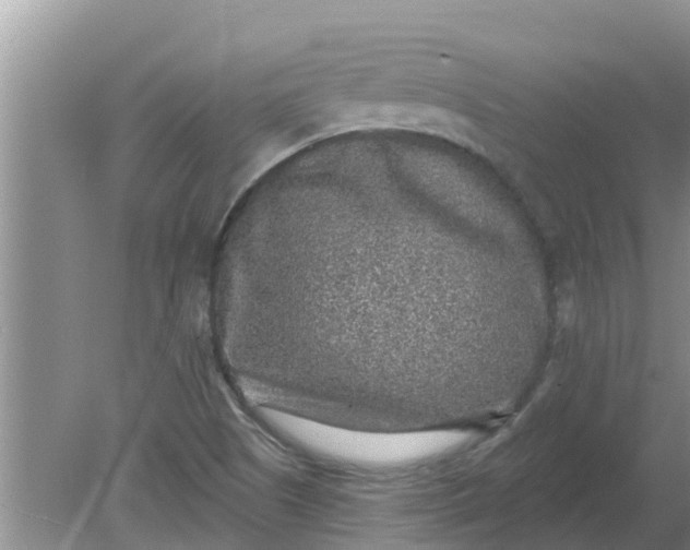 X0000080151505200612221935