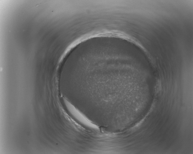 X0000080151506200612221935