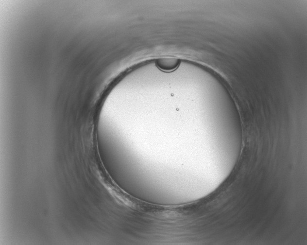 X0000080151507200612221935