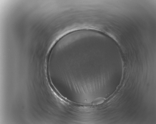 X0000080151508200612221935