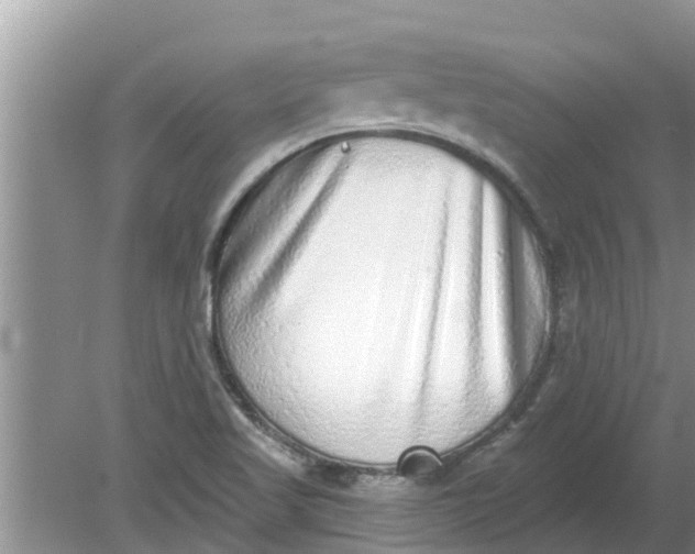 X0000080151509200612221935