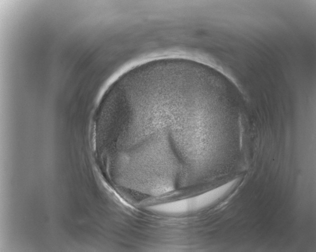 X0000080151510200612221935