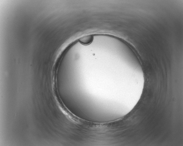 X0000080151511200612221935