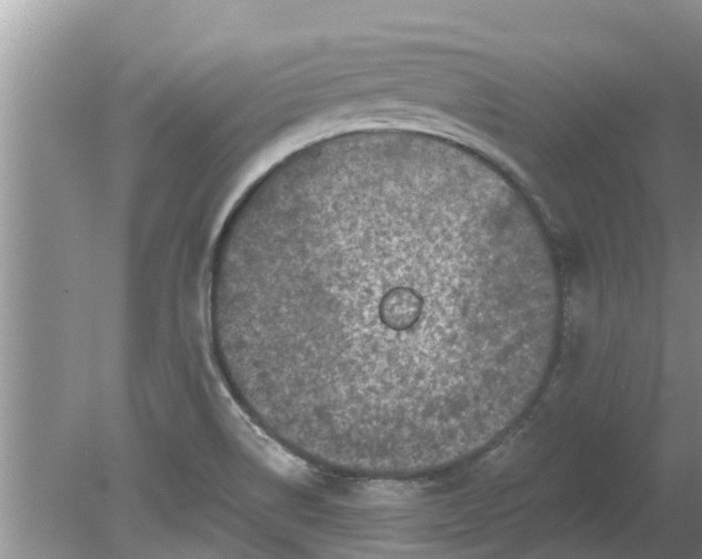 X0000080151514200612221936