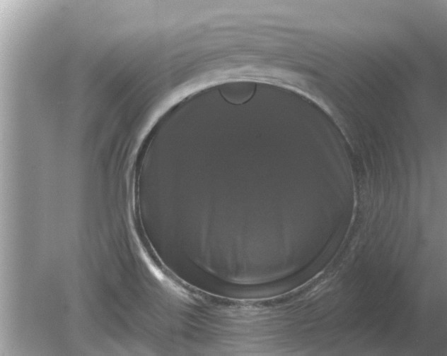 X0000080151515200612221936