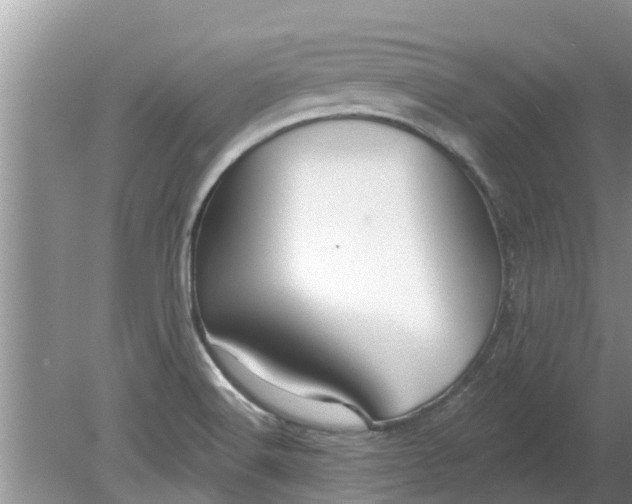 X0000080151516200612221936