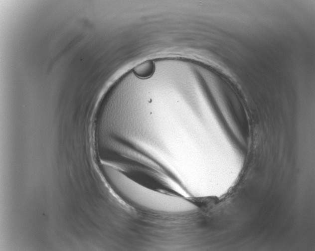 X0000080151517200612221936