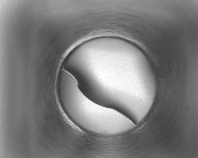 X0000080151518200612221936