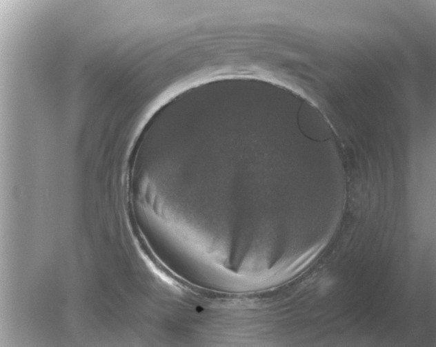 X0000080151519200612221936