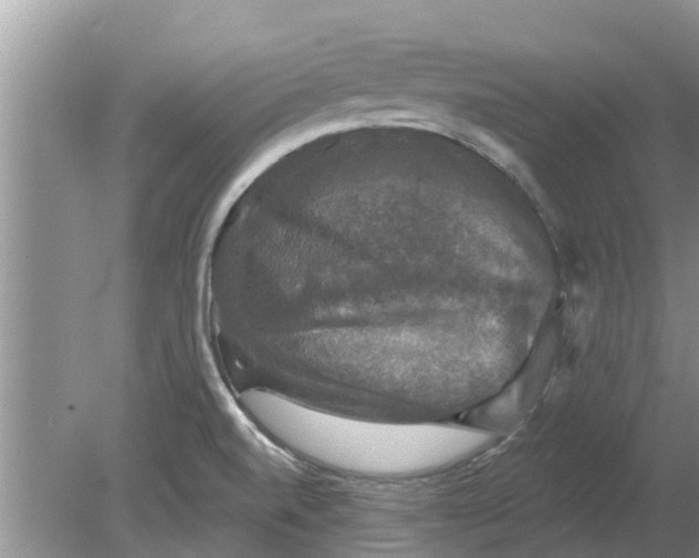 X0000080151520200612221936